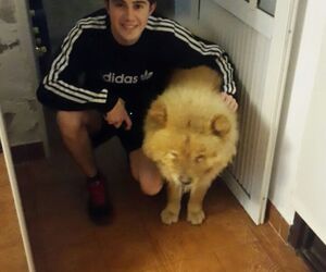Fede