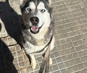 Rosario