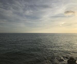 Alba M