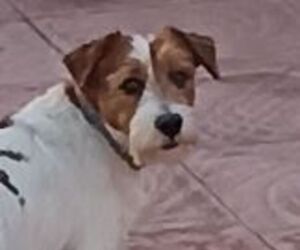 pete