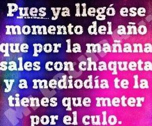 signo,leo