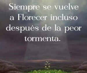 Lore