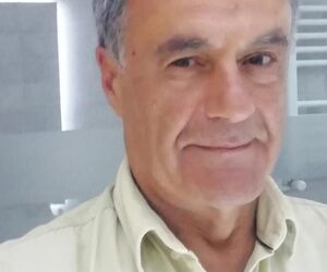 Brauli