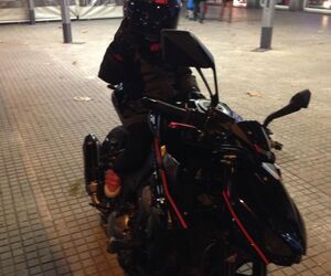 JAUME75