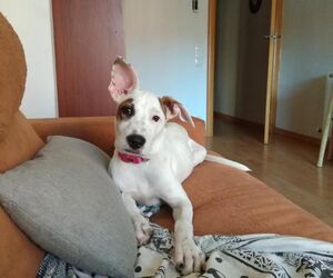 Lulu