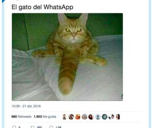 Alberto