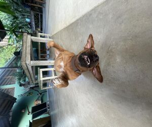 diego