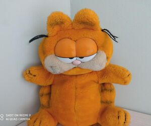 luci