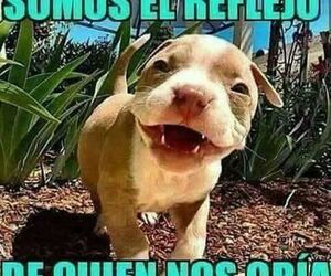 manu