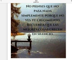 Pili1075
