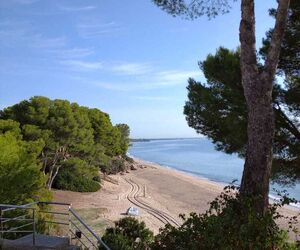Montse