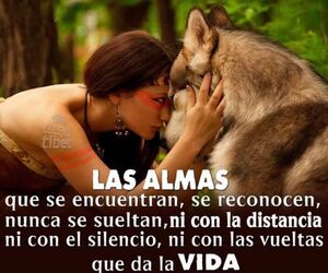 IRELA