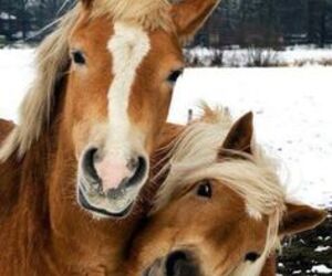Crist & Moni