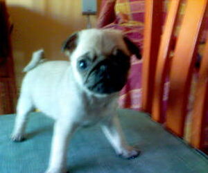 Miriam