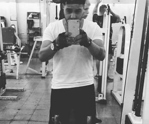Musca Andresit