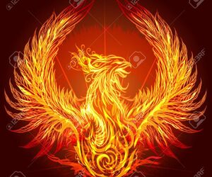 Phoenix