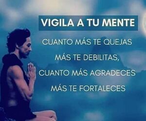 Mo tse