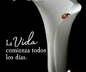 idalia