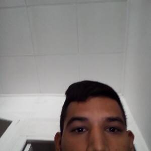 Fredi