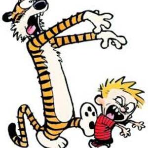 Calvin Hobbes