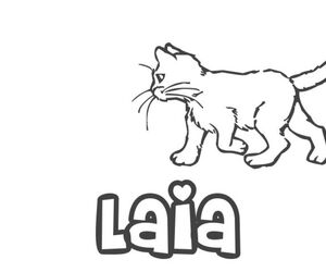 Laia