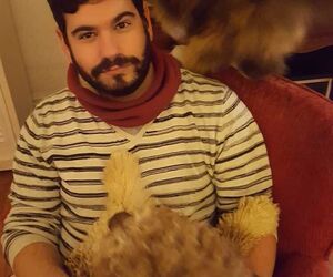 Guillem