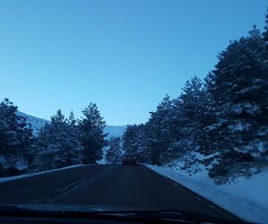Nieves CG