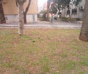 LoMe