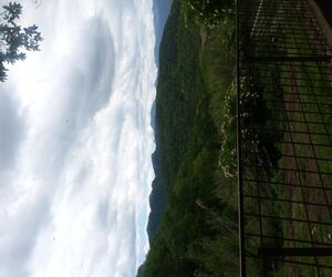 Margarit