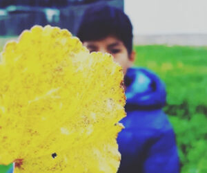Favian