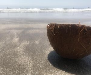 Ariadna