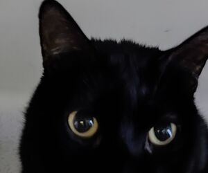 Francisco