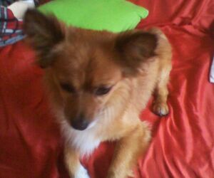Esther