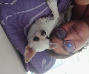 Pili