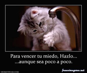 josep