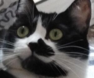 Luc