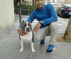 luis