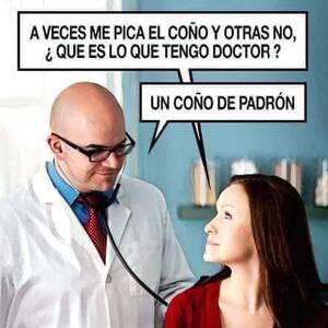Olmott