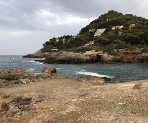 Montse