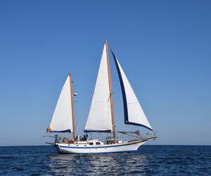 Sailwiz