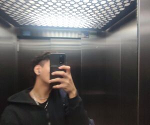 Vis