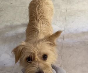Aitana