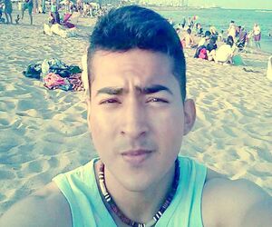 FerMS