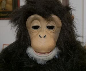 YO