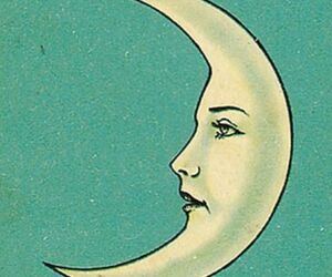 Moonlight