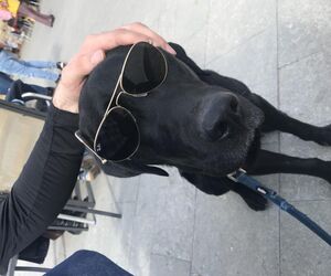 Be