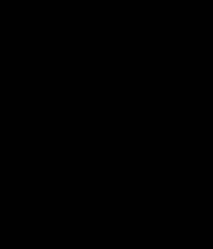 Sinkarma