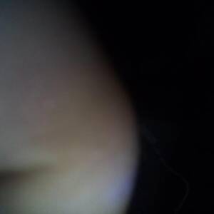 Vicent