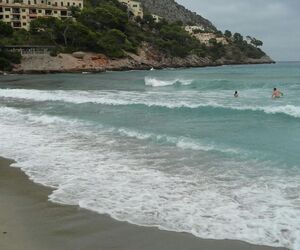 montse