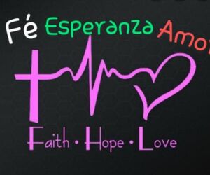 Vane